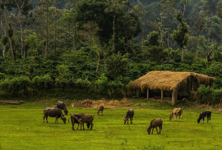Best Places to Visit in Coorg