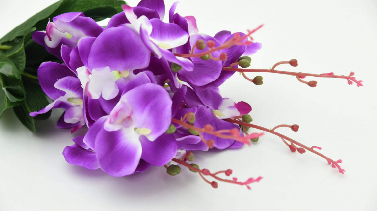 Flower to give your brother on his birthday