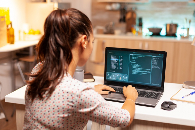 Why Software Development Models Are Important?