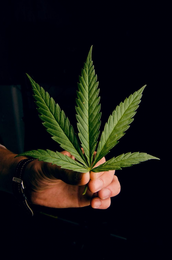 Hemp is having a moment, but it’s ok if you’re confused