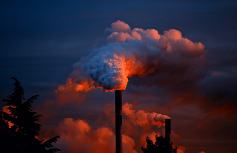 How to Write an Essay on Pollution