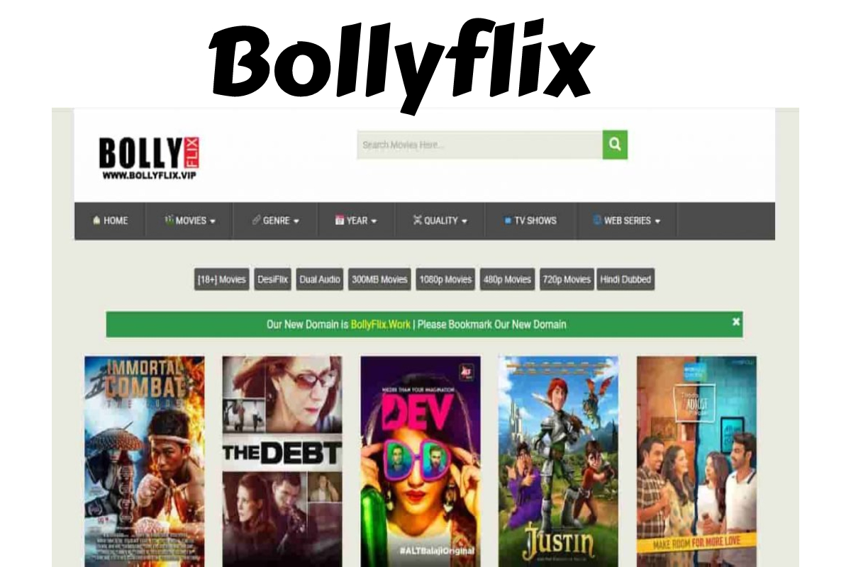 BollFlix - Is BollFlix Worth the Money? - GK360
