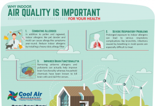 Importance of Air Quality