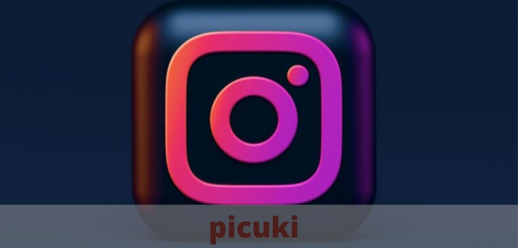 How to Use Picuki to Search Instagram Posts and View Stories