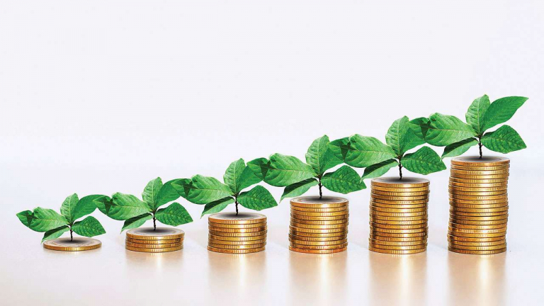 The Ultimate Guide for Investors Looking To Build a Green Portfolio