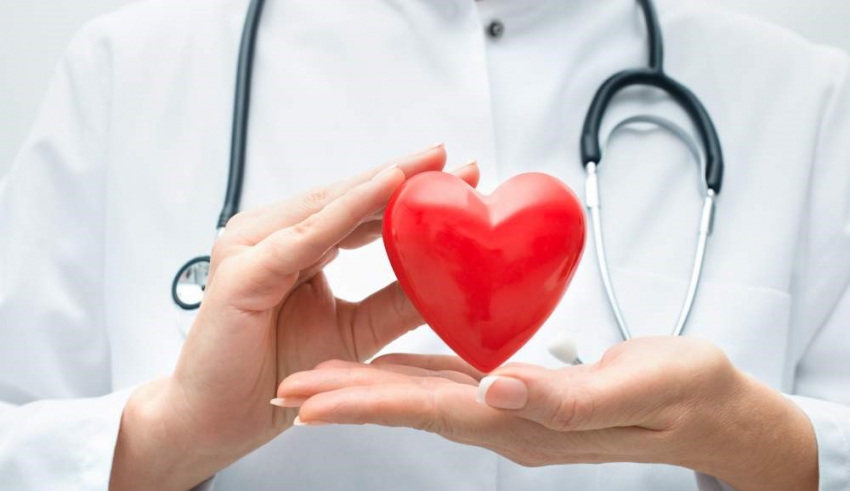 Best Tips for Choosing a Cardiologist