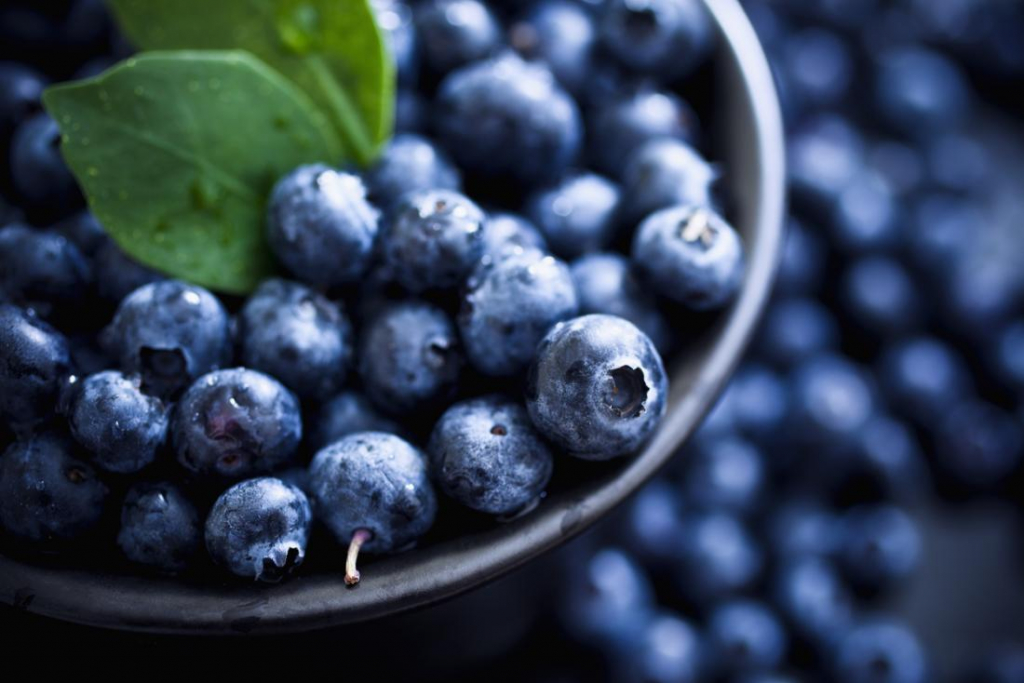 When are Blueberries in Season?