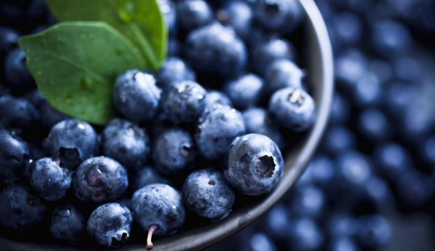 When are Blueberries in Season