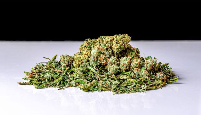 Everything You Need to Know About Cannabis Shake