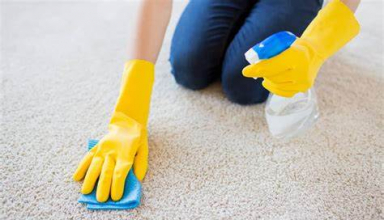 Carpet Cleaning Tips