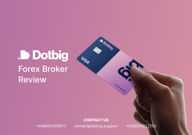 A detailed review of the conditions of the DotBig broker