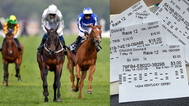 Free Daily Horse betting tips