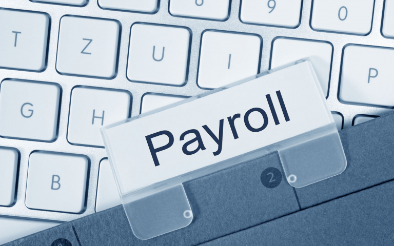 What is a Payroll Consultant? How can it help your Business?