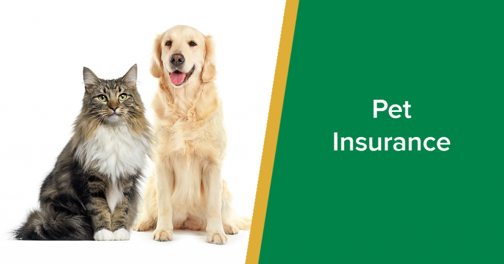 Who Needs Pet Insurance?
