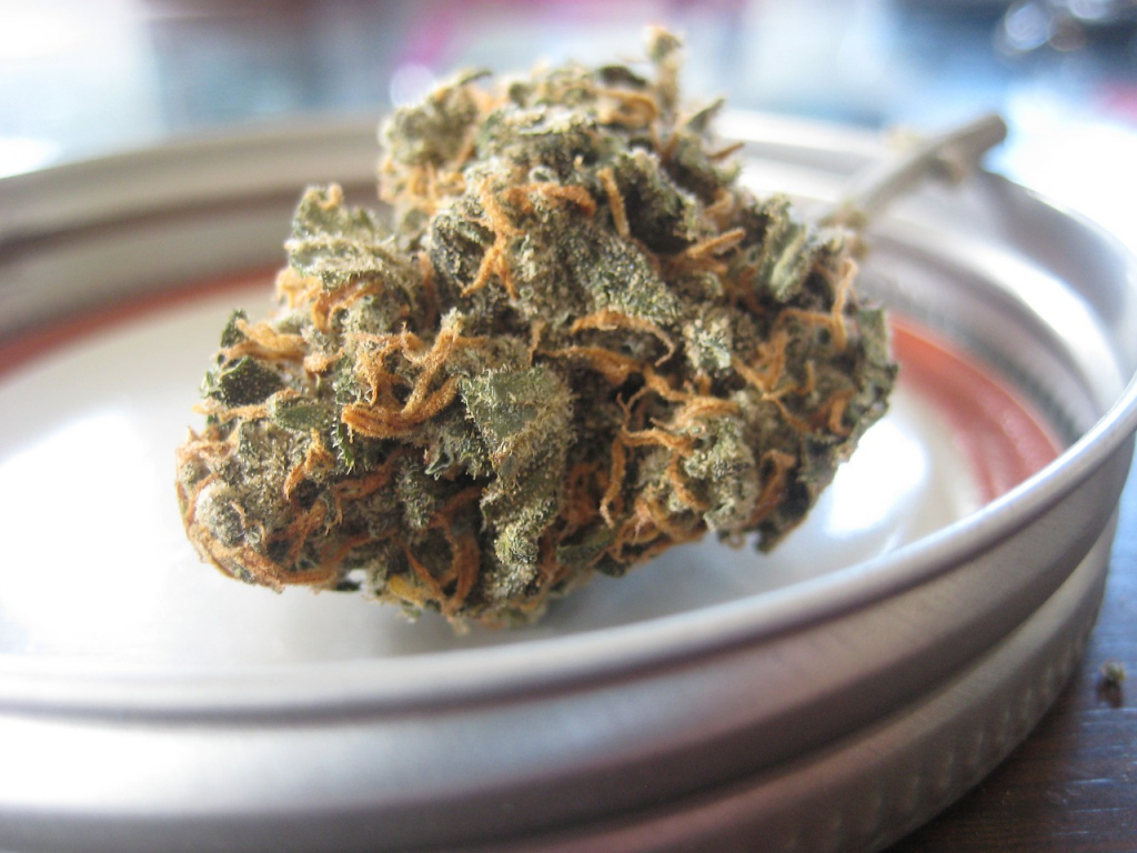 What is Marijuana? – THC, Hemp, and More