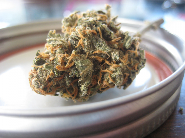 What is Marijuana? – THC, Hemp, and More
