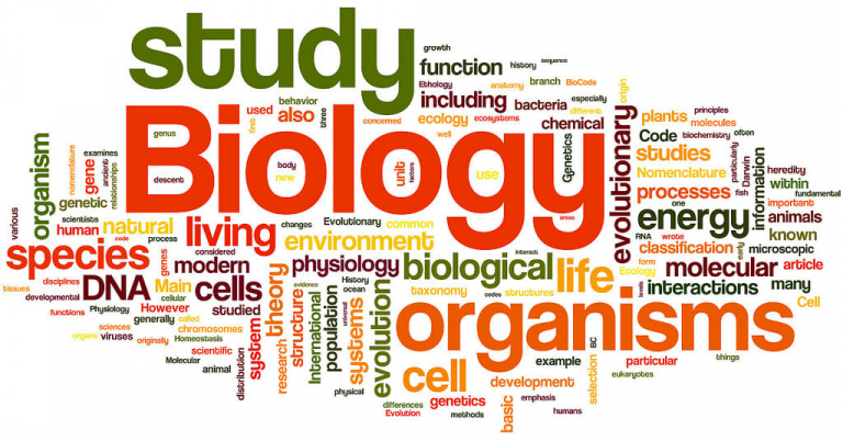 How to Make the Most of Your Time with a Biology Tutor