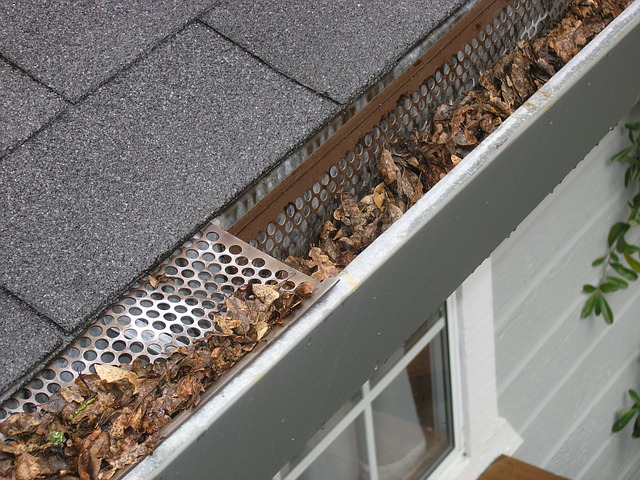 are gutter guards worth it