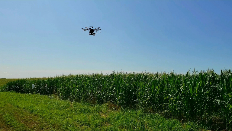 Aerial Seeding