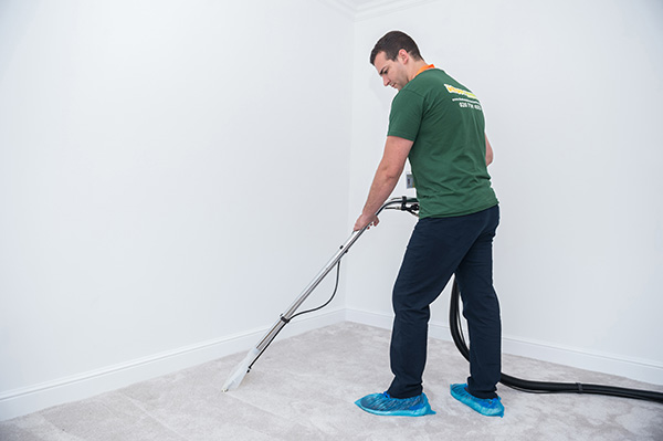 Professional Carpet Cleaning