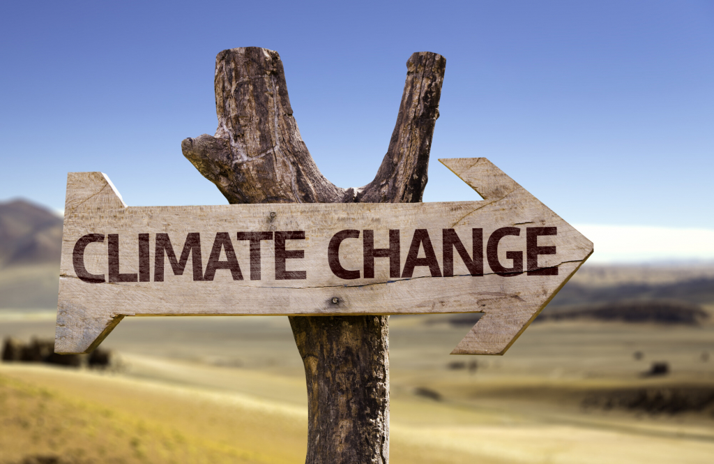 Exploring Human Causes of Climate Change
