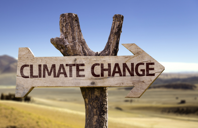 Exploring Human Causes of Climate Change