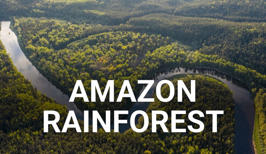 Amazon Rainforest