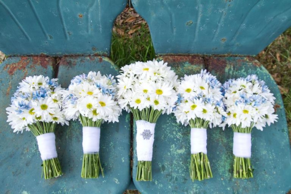 The Beauty in Budget: Exploring the World of Cheap Flowers