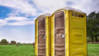 mobile toilet during home renovation