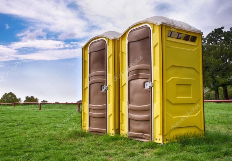 The essential guide to renting a mobile toilet during home renovation