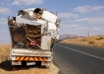 Professional Junk Removal Services