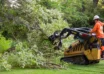 Clear Brush and Small Trees Without Hiring Help
