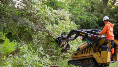 Clear Brush and Small Trees Without Hiring Help
