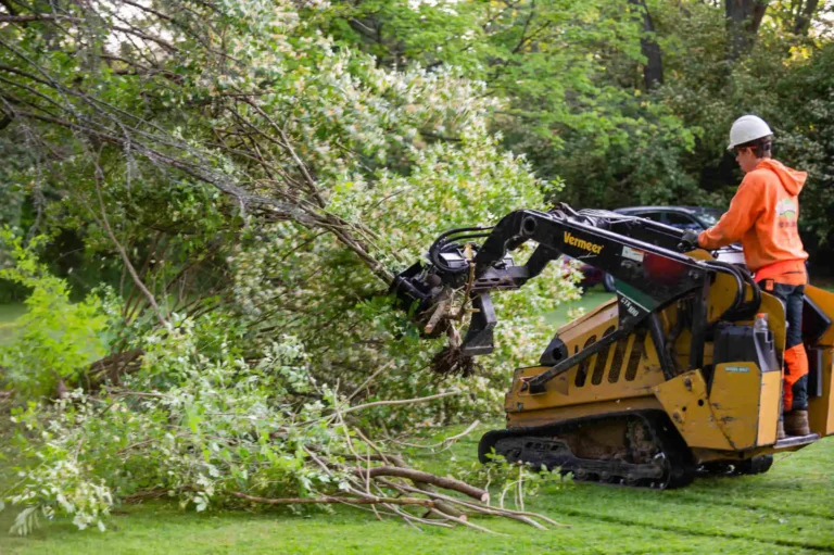 How to Clear Brush and Small Trees Without Hiring Help