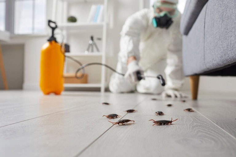 Signs You Need Professional Help With Your Pest Problem